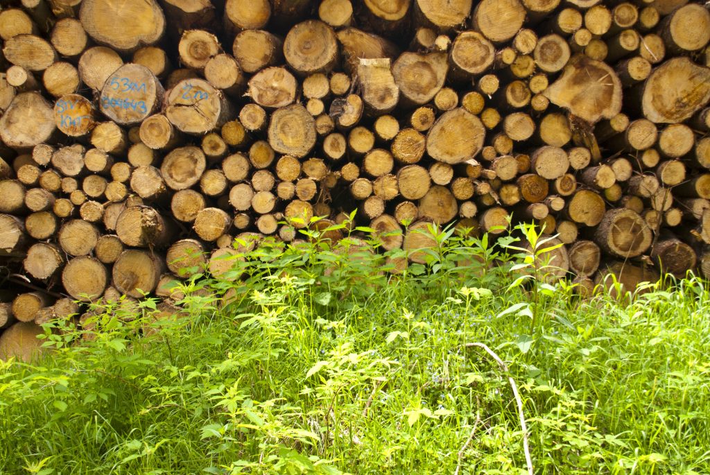 Stack of Wood in Germany